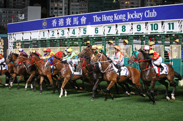 Hong Kong  China  Pferde und Jockeys beim Start aus der Startmaschine