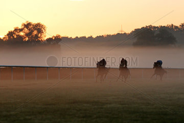 Iffezheim  Reiter und Pferde beim Ausritt am Morgen im Nebel