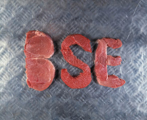 Fleischstuecke als BSE-Schriftzug