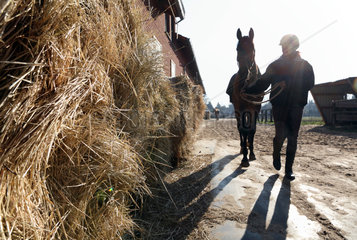 Neuenhagen  Deutschland  Reiterin fuehrt ihr Pferd an einem Strohhaufen vorbei