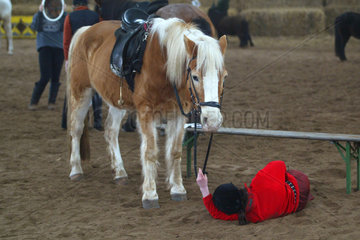 Ein Maedchen ist von einem Pferd gefallen