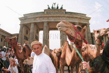 Kamele und ihre Begleiter vor dem Brandenburger Tor