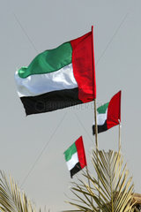 Symbolfoto der Flagge der Vereinigten Arabischen Emirate  Dubai