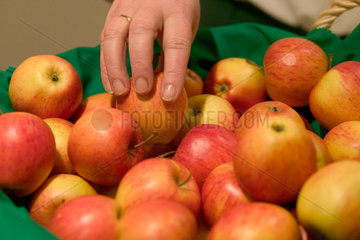 Ein Apfel wird aus dem Korb genommen