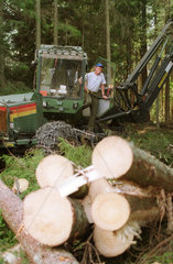 Abholzung eines Waldes in Schweden