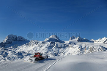 Krippenbrunn  Oesterreich  Schneeraupe praepariert eine Skipiste