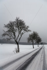 Gross Steinum  Deutschland  verschneite Landstrasse im Naturpark Elm-Lappwald