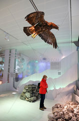 Berchtesgaden  Deutschland  Ausstellung im Nationalparkzentrum Haus der Berge