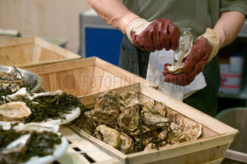 Austern werden mit einem Austermesser geoeffnet