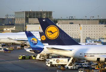 Frankfurt am Main  Deutschland  Maschinen von Lufthansa und Thomas Cook