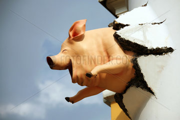Bremen  Deutschland  Nachbildung eines Schweins an der Fassade eines Modegeschaefts