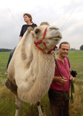 Nassenheide  Deutschland  Kamel beim Karawanen-Reitbetrieb des Fleckschnupphofes