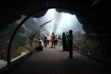 Dubai  Vereinigte Arabische Emirate  Besucher im Tunnel des Dubai Aquarium der Mall of Dubai