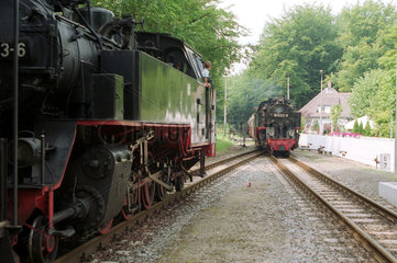 Die Mecklenburgische Baederbahn Molli