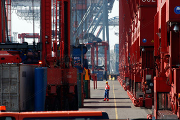 Hamburg  Deutschland  Hafenarbeiter und Portalhubwagen unter den Containerbruecken