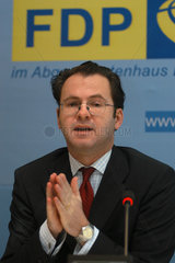 FDP-Fraktionsvorsitzender Dr. Martin Lindner  Berlin