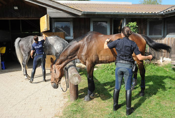 Dannenberg  Deutschland  Polizeibeamte striegeln ihre Pferde