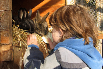 Ein Kind fuettert die Kaninchen auf dem Bauernhof