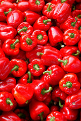 Rote Paprika auf dem Wochenmarkt