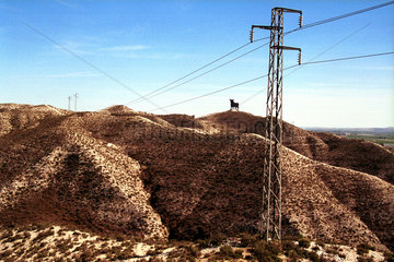 Stromleitung in spanischer Landschaft mit Osborne-Stier