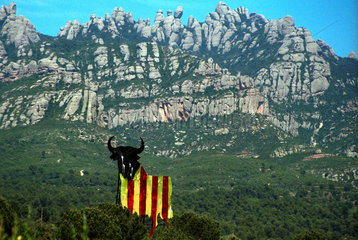 katalanisch nationalfarbener Stier in Spanien