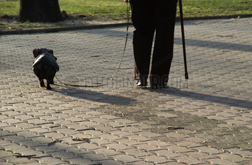 Berlin  Deutschland  Rentnerin mit ihrem Hund