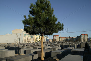 Berlin  Mahnmal fuer die ermordeten Juden Europas