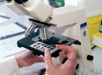Untersuchung von Laborproben mit einem Mikroskop