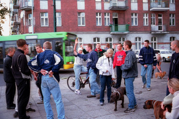 Jugendliche mit Kampfhunden in Poznan  Polen