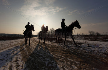 Koenigs Wusterhausen  Deutschland  Silhouette  Reiter machen im Winter einen Ausritt