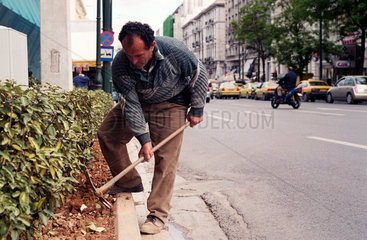 Athen  Mann saeubert Strassenbepflanzungen