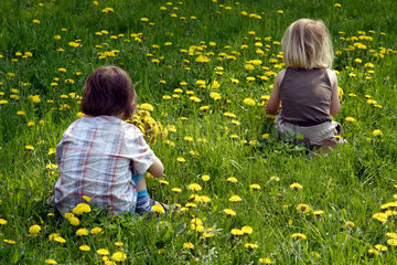 Leipzig  Kinder pfluecken Blumen auf einer Wiese