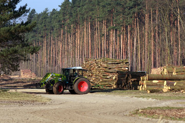 Neuenhagen  Deutschland  Traktor vor gestapelten Baumstaemmen