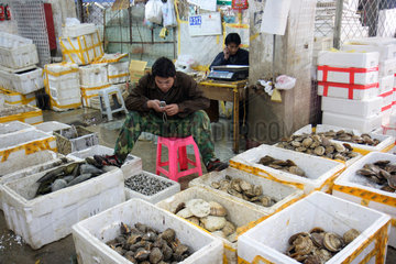 Peking  Haendler verkauft Fisch und andere Meerestiere