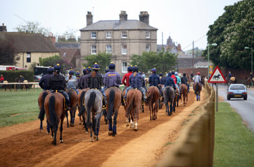 Newmarket  Grossbritannien  Pferde und Reiter beim Morgentraining