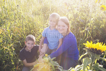 Mother and young sons together in field of sunflowers  portrait