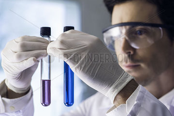 Scientist scrutinizing test tubes in lab