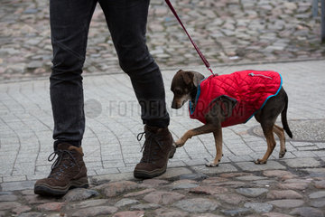 Polen  Poznan - Mann mit Hund in einem Leibchen fuer den Winter