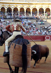 Sevilla  Spanien  ein Picador kaempft mit einem Stier in der Real Maestranza