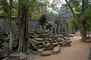 Angkor  Kambodscha  Ta Prohm Tempel