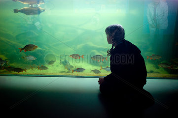 Waren (Mueritz)  Deutschland  ein Maedchen vor einem Aquarium im Mueritzeum
