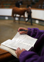 Newmarket  Grossbritannien  Blaettern in einem Katalog waehrend einer Pferdeauktion