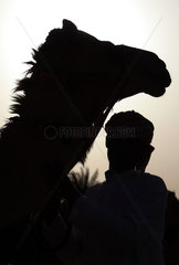 Dubai  Vereinigte Arabische Emirate  Silhouette  Mann und Kamel im Portrait