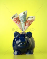 Blaues Sparschwein mit Eurogeldscheinen