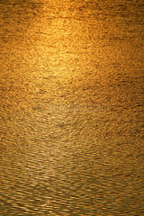 Berlin  goldene Reflexe vom Sonnenuntergang am See