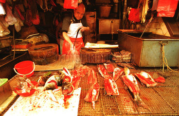 Chinese beim Verarbeiten von Fischen in Hongkong