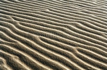 Westerland  Detail des Sandstrandes abstrakt geformt