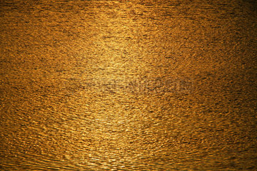 Berlin  goldene Reflexe vom Sonnenuntergang am See