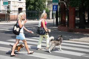 Posen  Polen  zwei junge Frauen gehen mit ihren Hunden spazieren