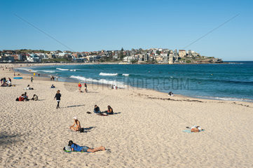 Sydney  Australien  Blick auf den Bondi Beach